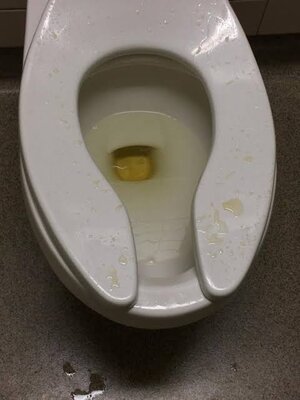 Carlton toilet.jpg